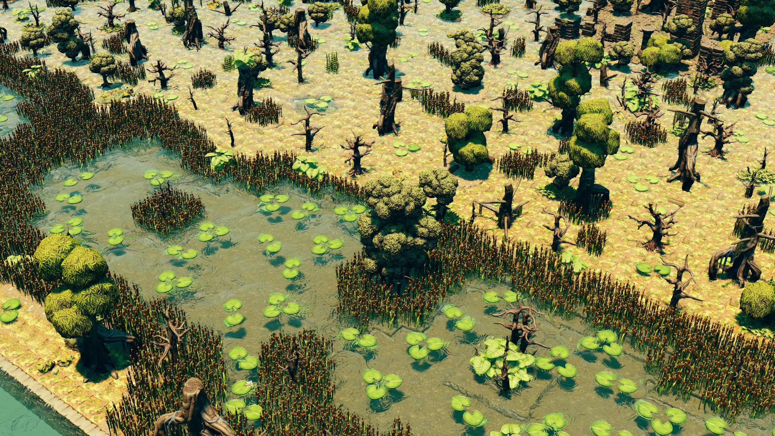 A lily-covered swampy stream winding between scrubby trees