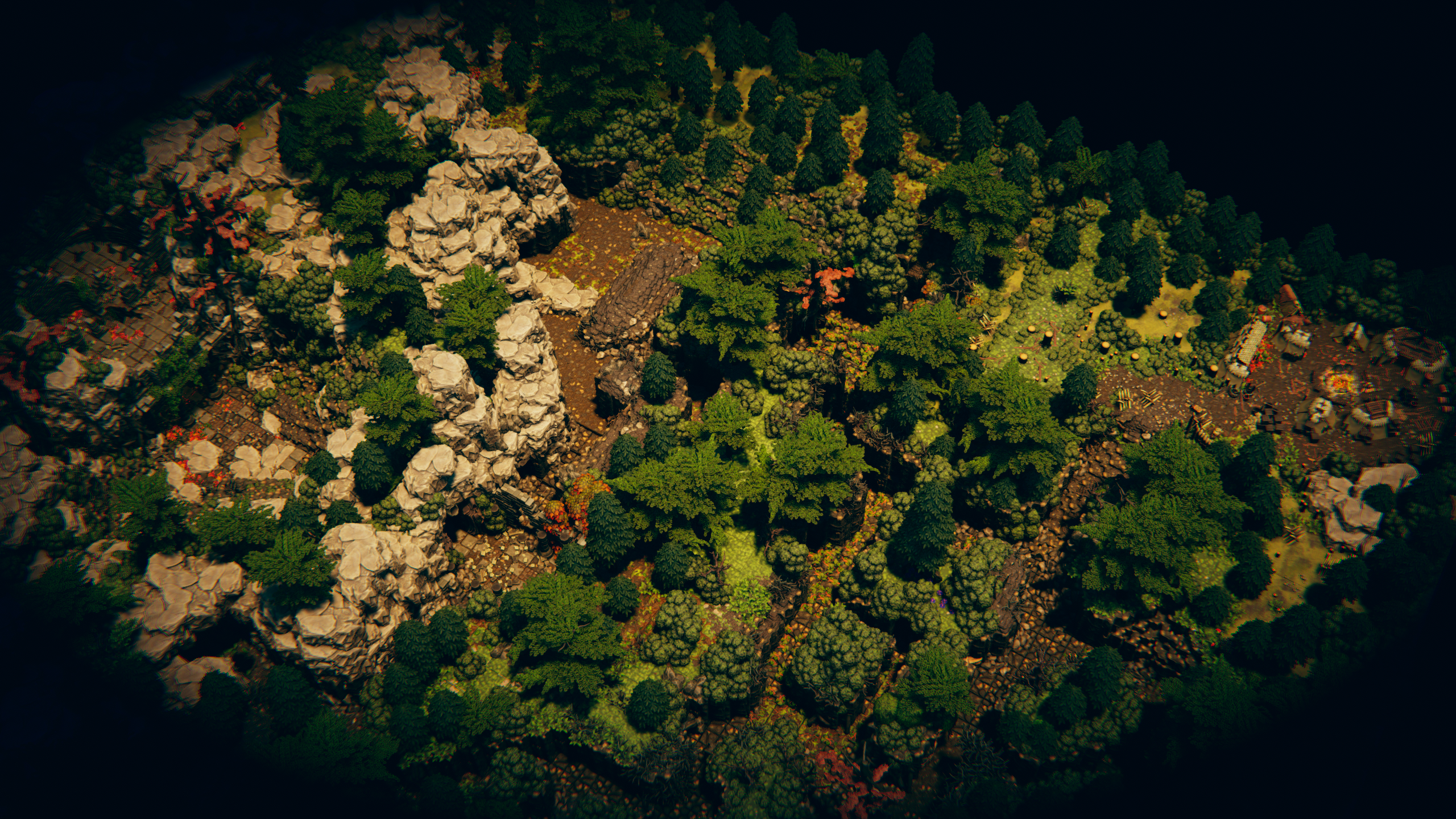 Top-down view of rocky trenches winding beneath the forest canopy