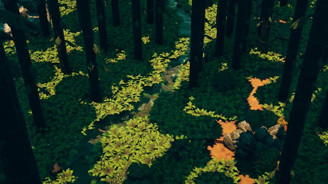 A winding dirt path beneath towering trees and dense forest undergrowth