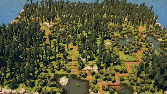 Aerial overview of the forest board with winding paths, ponds and tall pine trees