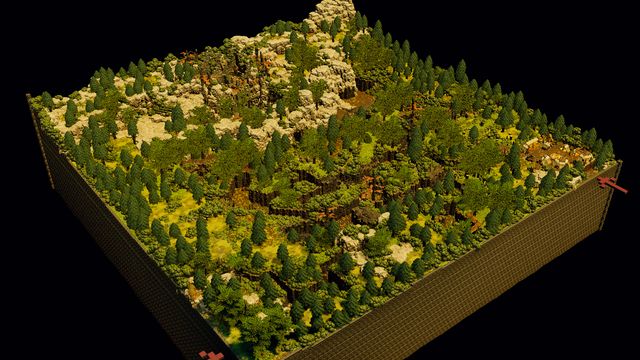 Overview of the densely wooded forest trench board