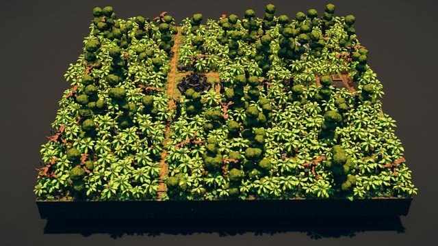 Overview of the dense jungle canopy covering the swamp board